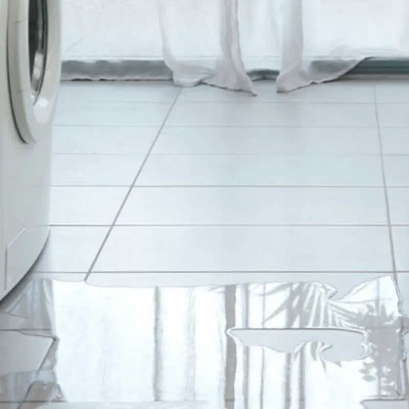 Appliance Leak Cleanup in Burlington, IA