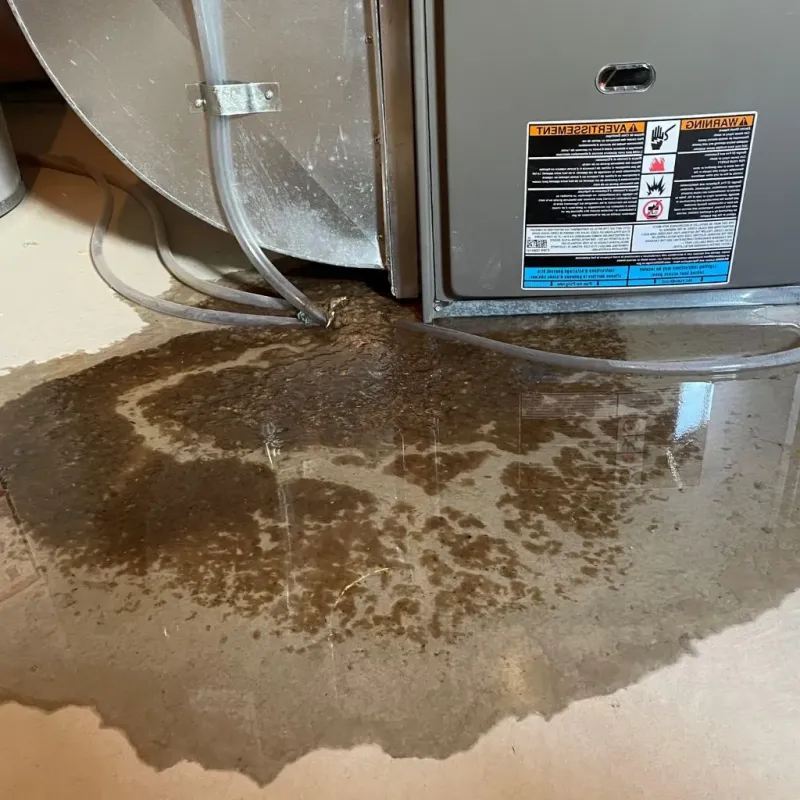 Pipe Burst and Leak Restoration in Burlington, IA