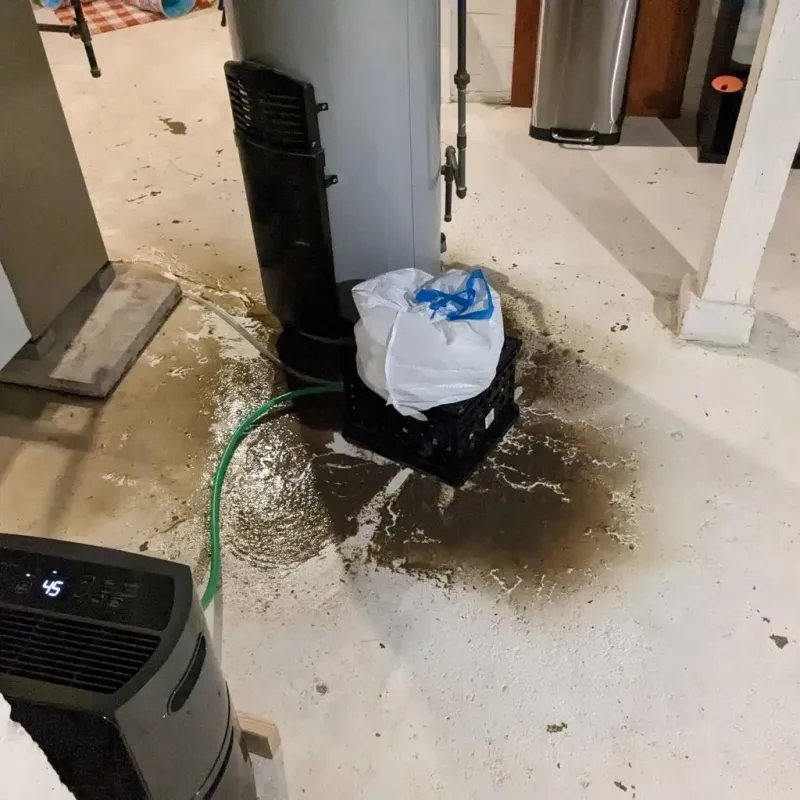 Sewage Backup Cleanup Service in Burlington, IA